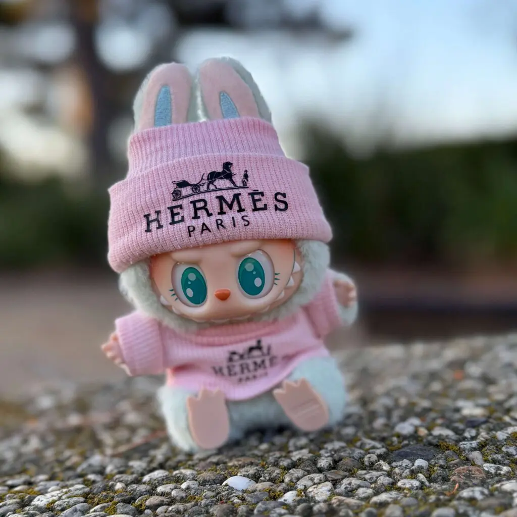 Labubu Ququ clothes pink Hermes