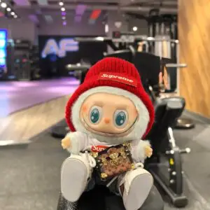 ququ labubu clothes gym