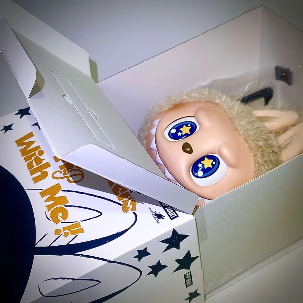 How Labubu Flip with Me doll is packaged in the box