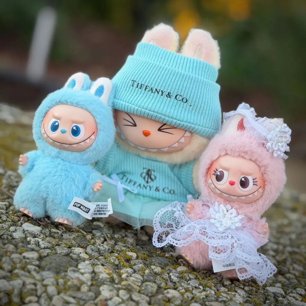 labubu clothes labubu sisi knowledge and giving