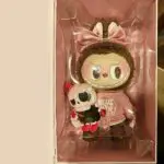 labubu Catch Me If You Like Me special version plush doll inside box packaging