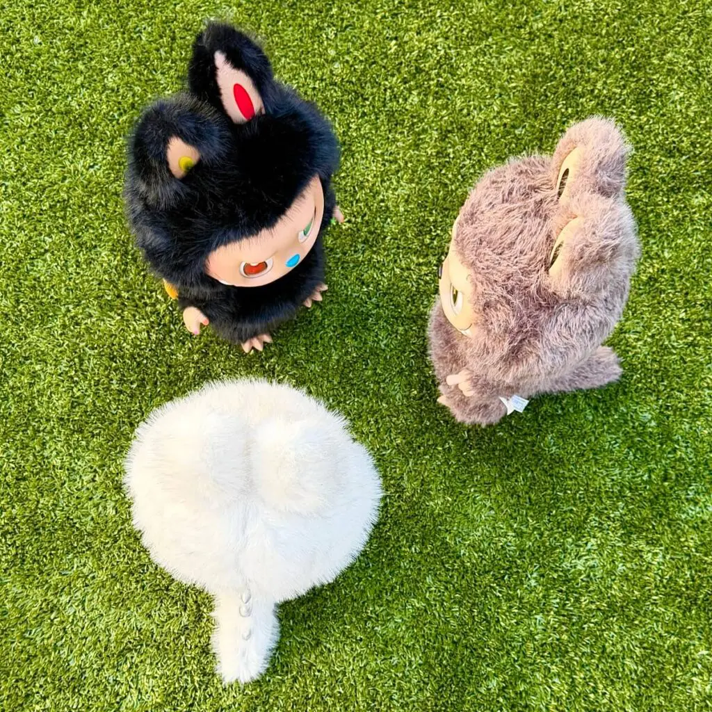Zimomo I Found You, Angel in Clouds, and 10th Anniversary standing on faux grass top view