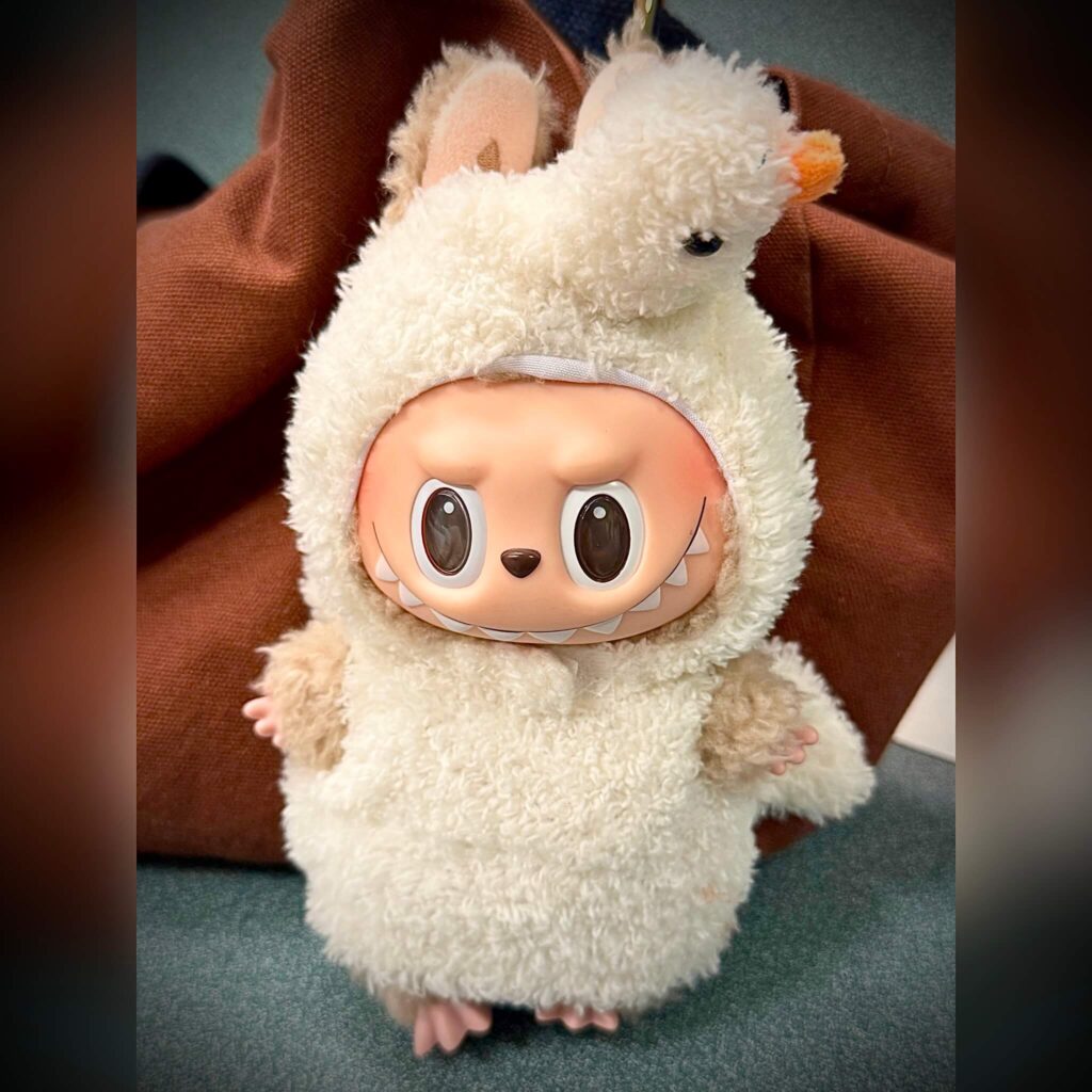 labubu clothes duck outfit