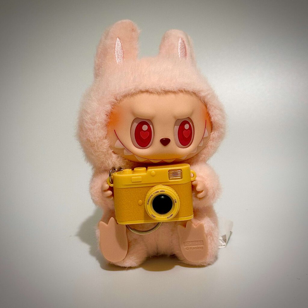 dada labubu camera