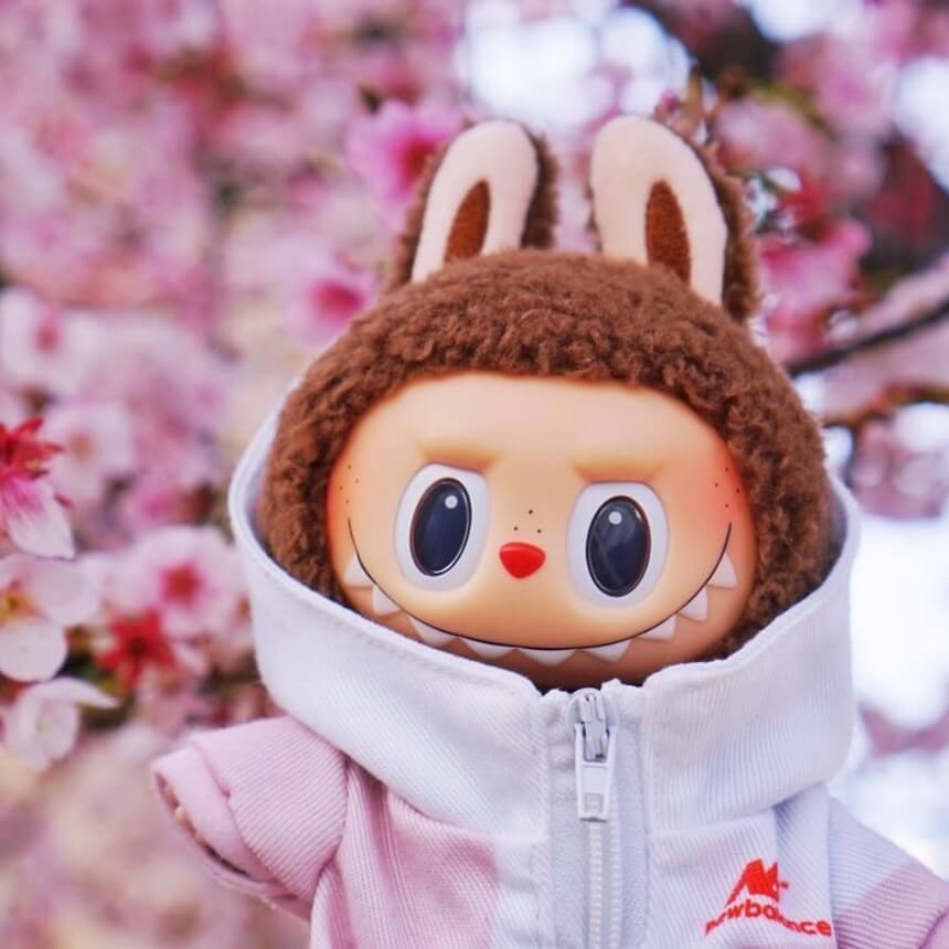 Labubu macaron secret chestnut cocoa in labubu clothes cherry